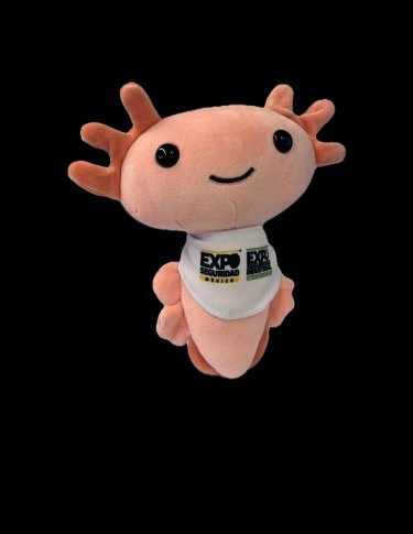 Mascota del año